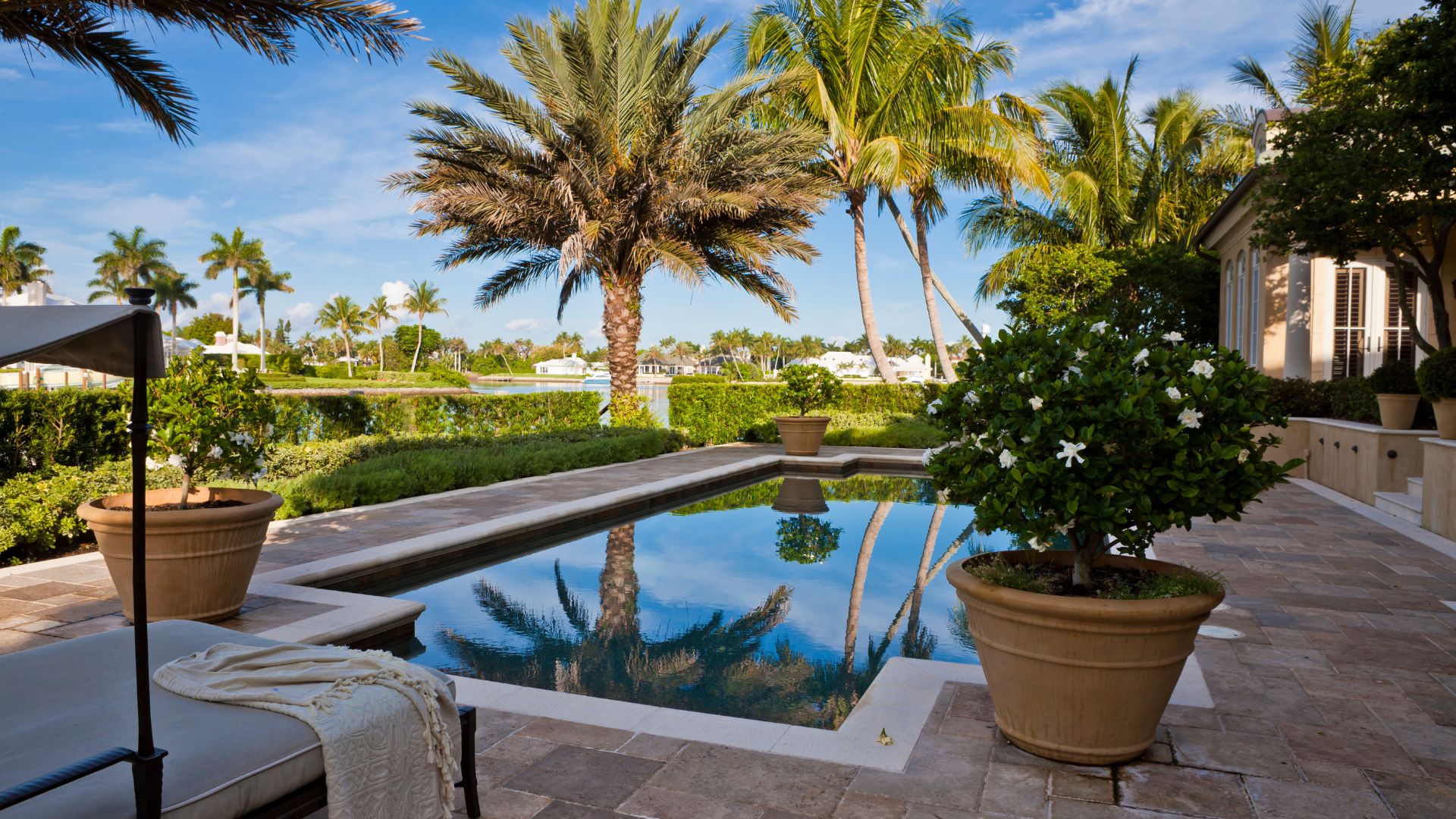 Tropical pool with palm trees reflecting in calm blue water